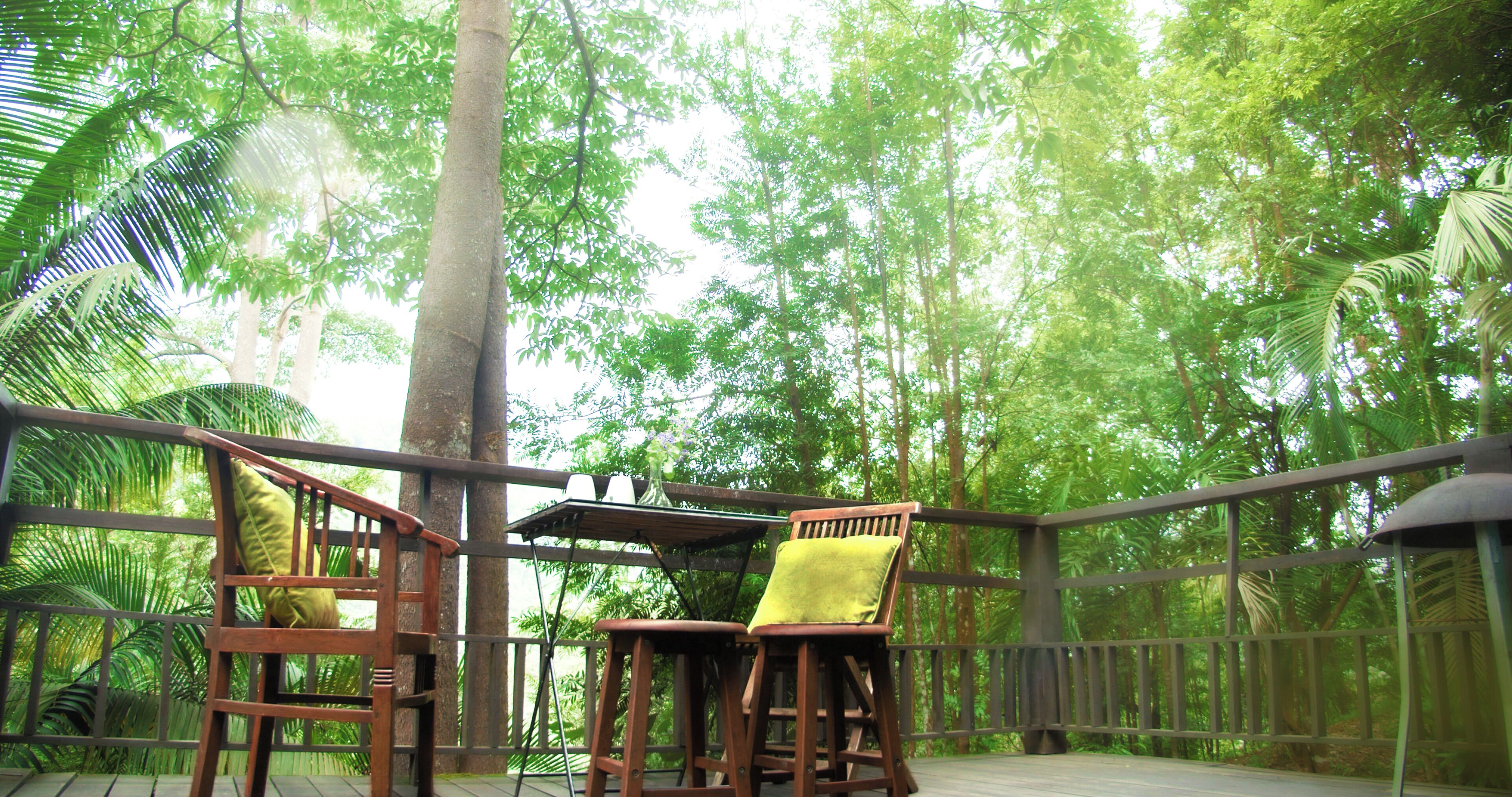 A wooden deck with two chairs and a table, surrounded by dense green foliage.