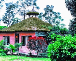 Cocina internacional