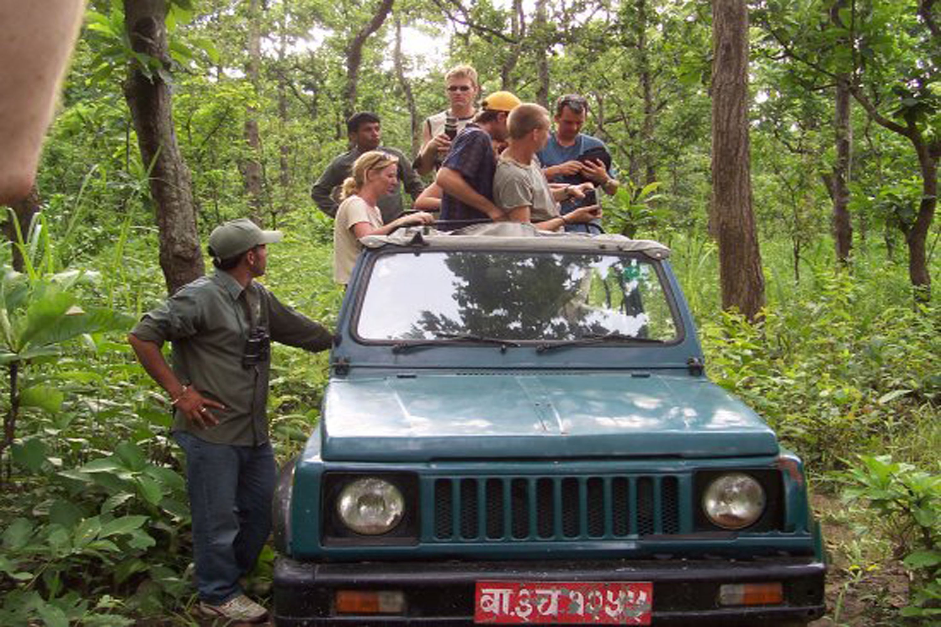 A group of people standing on the roof of a vehicle surrounded by dense forest.