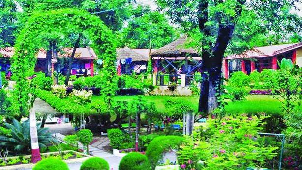 A garden with multiple small structures, likely guest rooms, surrounded by lush greenery and trees. - Rainbow Safari Resort (Sauraha)