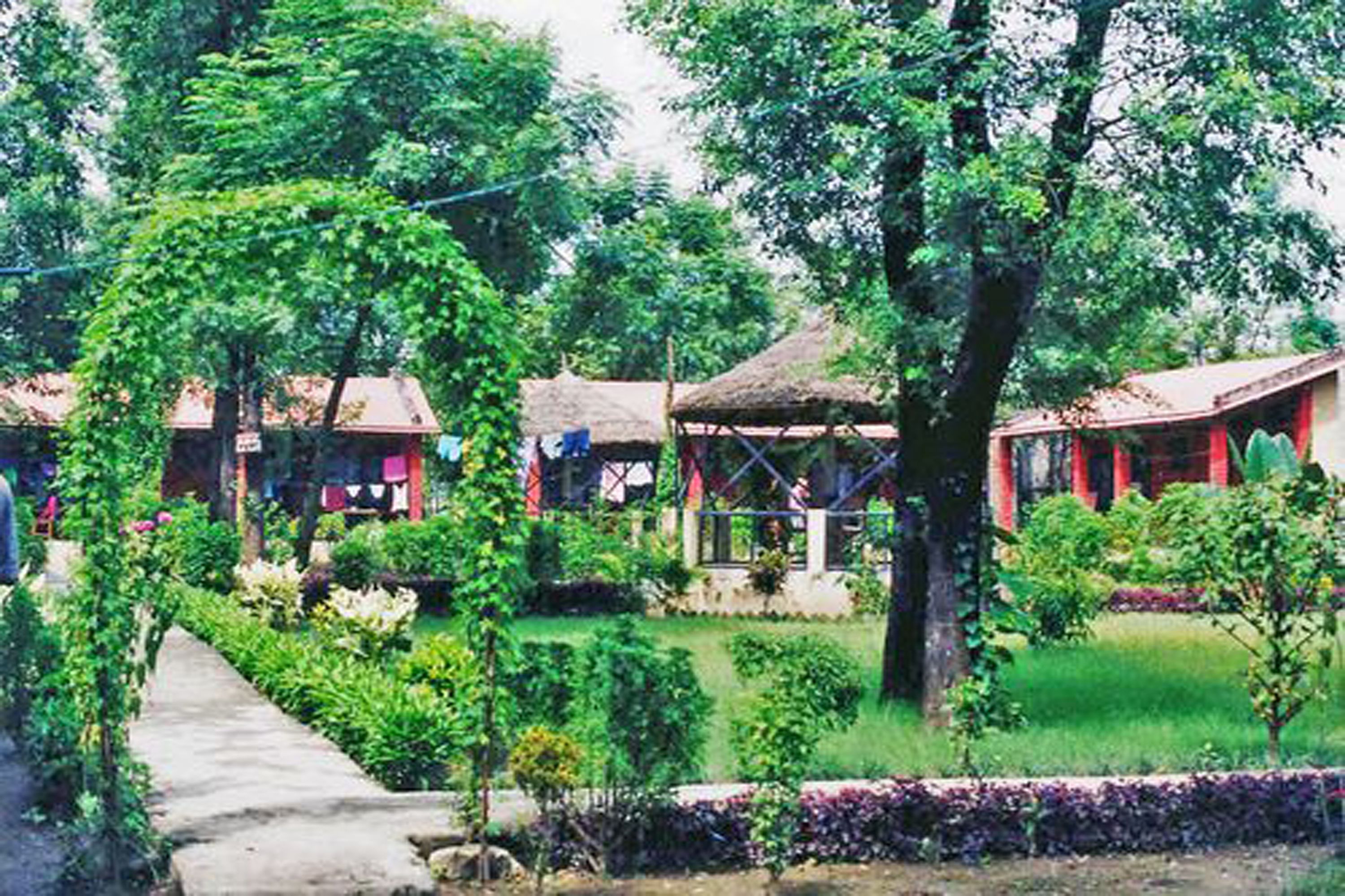 Garden