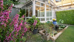 A conservatory with a glass roof, surrounded by various potted plants and flowers. - Hostel Lullaby - Adults Only (Chiang Mai)