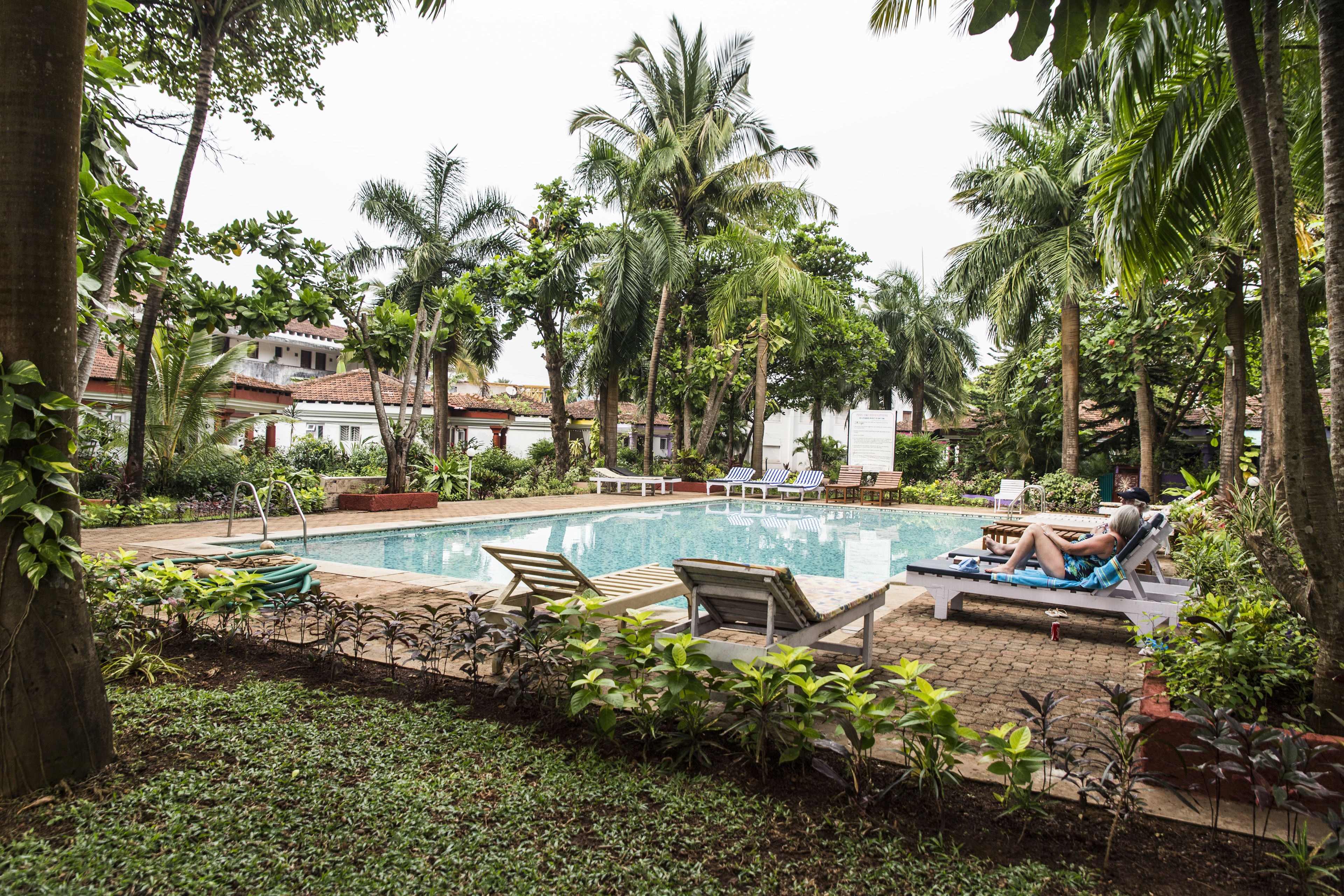 Una piscina rodeada de palmeras y sillones de descanso.
