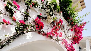 A white building with blue shutters, a table with chairs, and pink flowers. - Kalimera Studios and Apartments (Corfu)