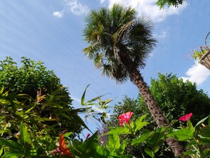 Taman