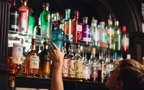 Bar (on property) - The Grapes (Southampton)