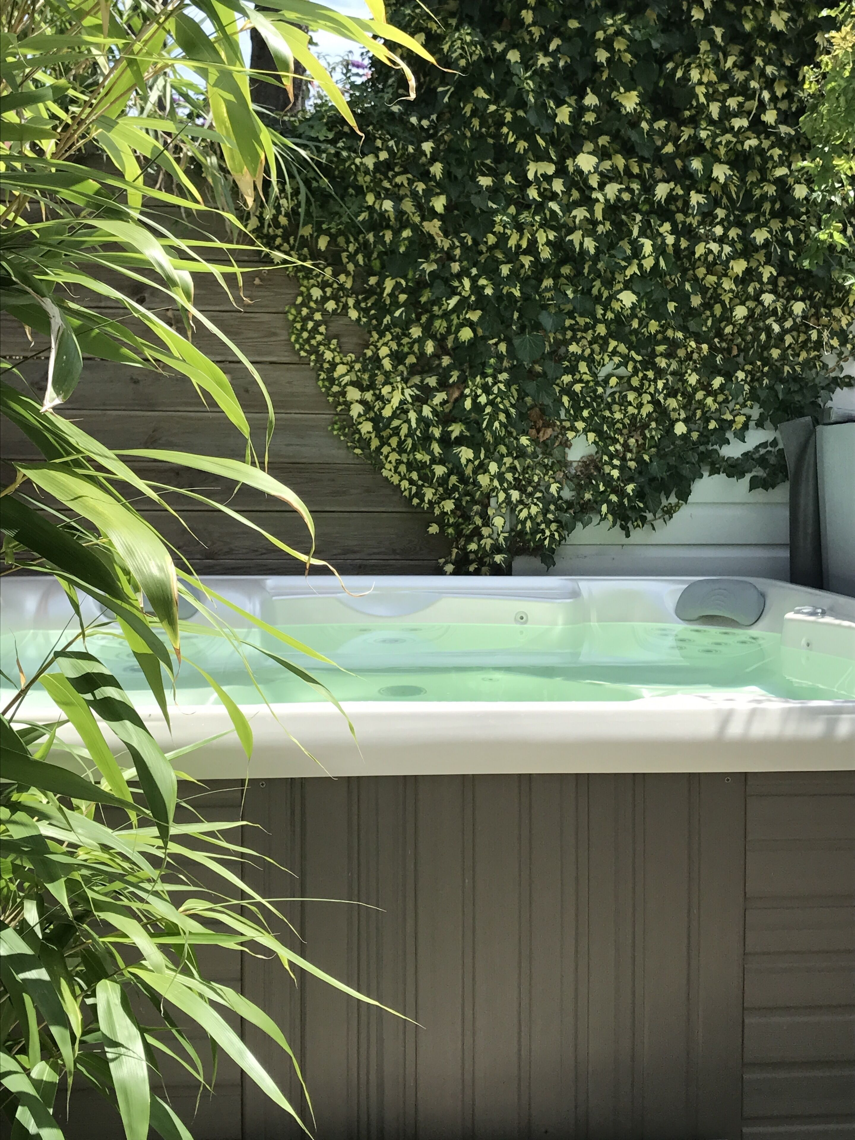 A hot tub surrounded by greenery.