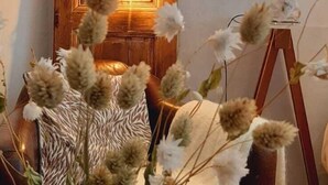 A cozy living room with a wooden door, a lamp, and a vase with dried flowers. - MY LITTLE GARDEN - Garden - Free parking 600m - La Clé de Honfleur (Honfleur)