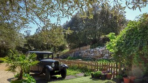 Une voiture ancienne est garée dans un jardin, avec un mur de pierre, une clôture en bois et diverses plantes.