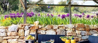 Shed Au Coeur Du Bois