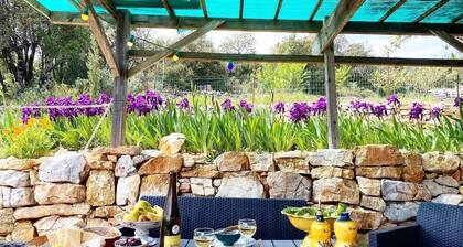 Shed Au Coeur Du Bois