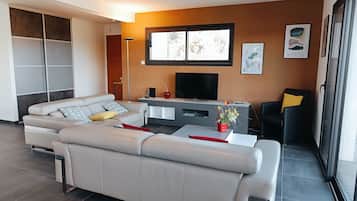 Smart TV, fireplace, books