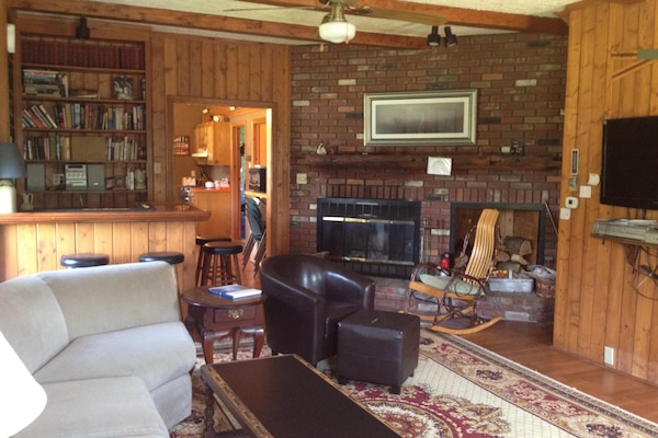 knotty pine living room with dry bar, fireplace and flat screen tv