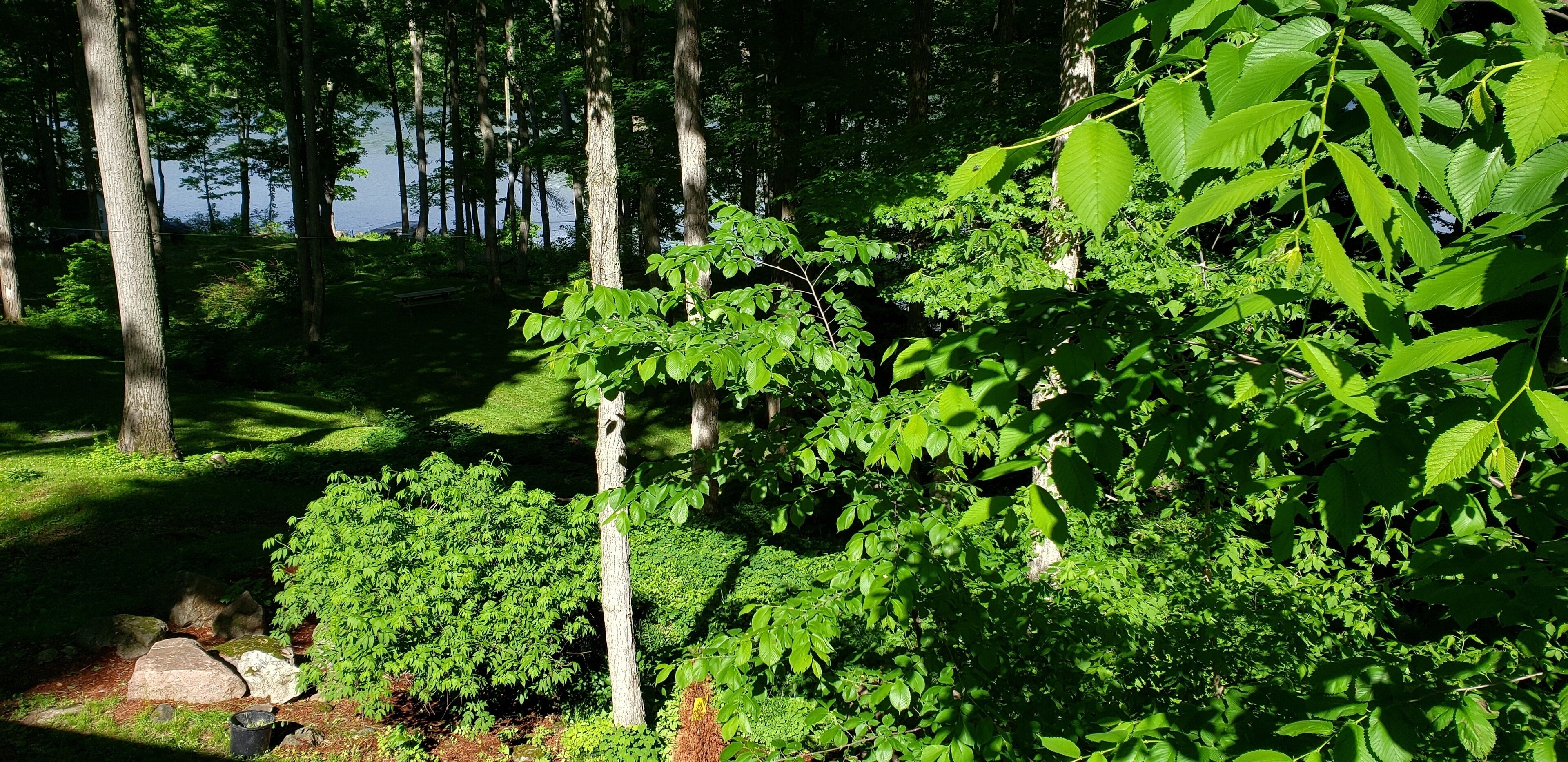 Áreas de la propiedad