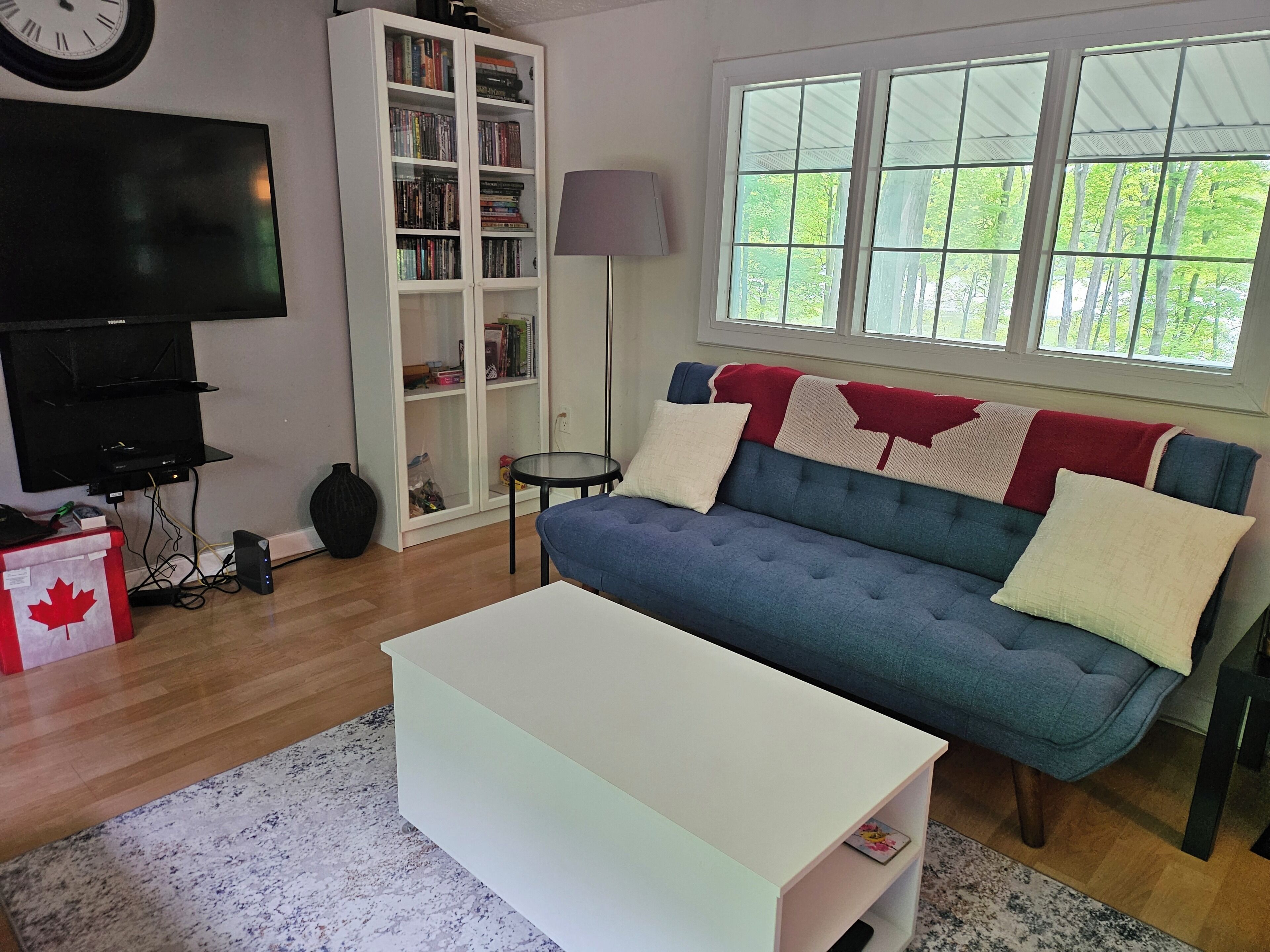 A living room with a blue sofa, white coffee table, bookshelf, television, and a window with a view of trees.
