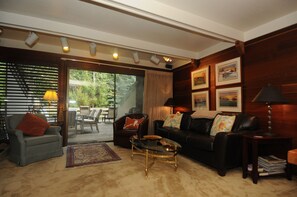 Smart TV, fireplace, DVD player, stereo