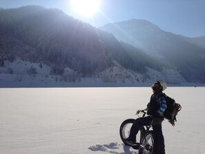 Lumi- ja hiihtourheilulajit