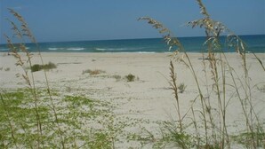 A beach with sand and sparse vegetation.