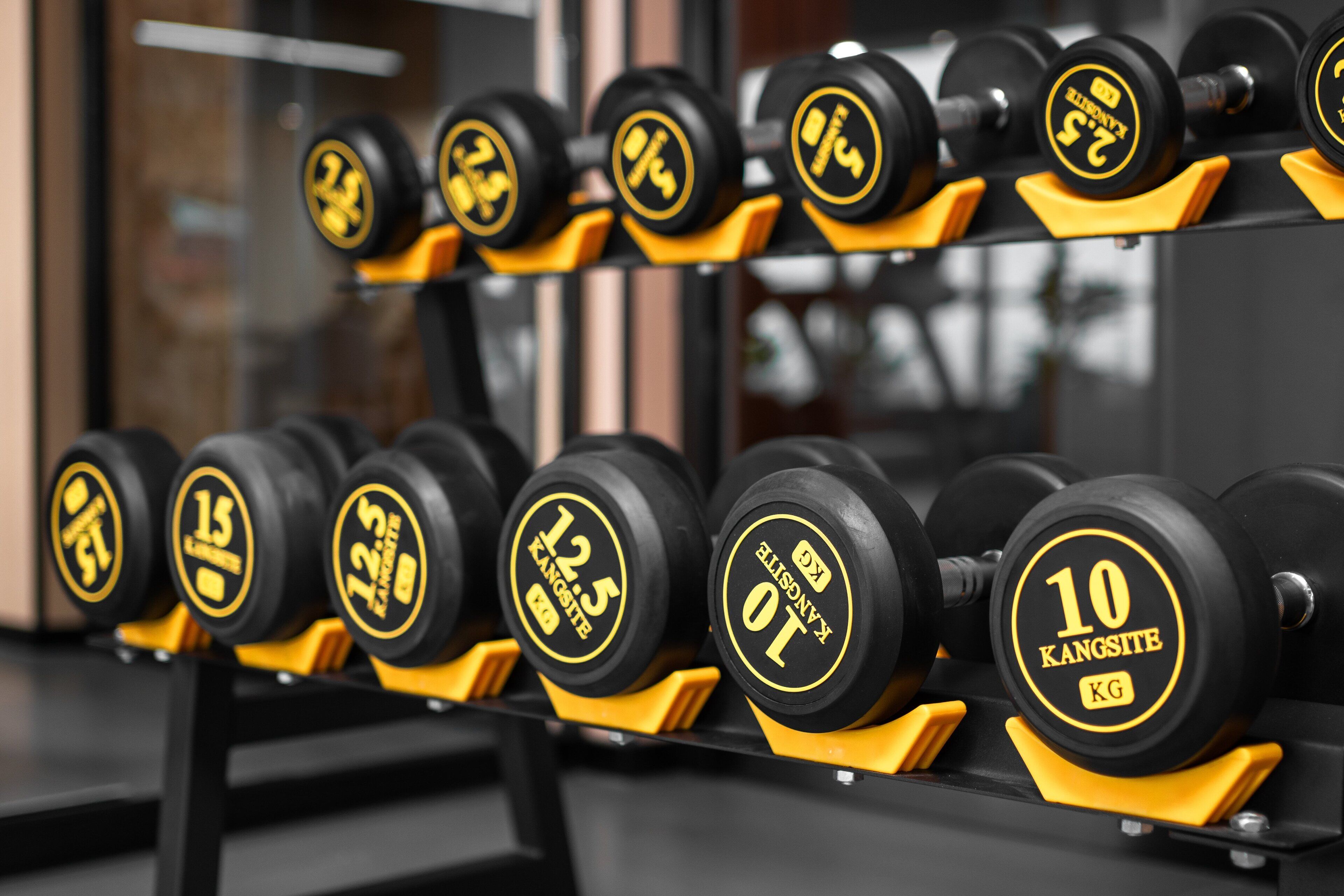 A rack of dumbbells with weights ranging from 10 kg to 15 kg.