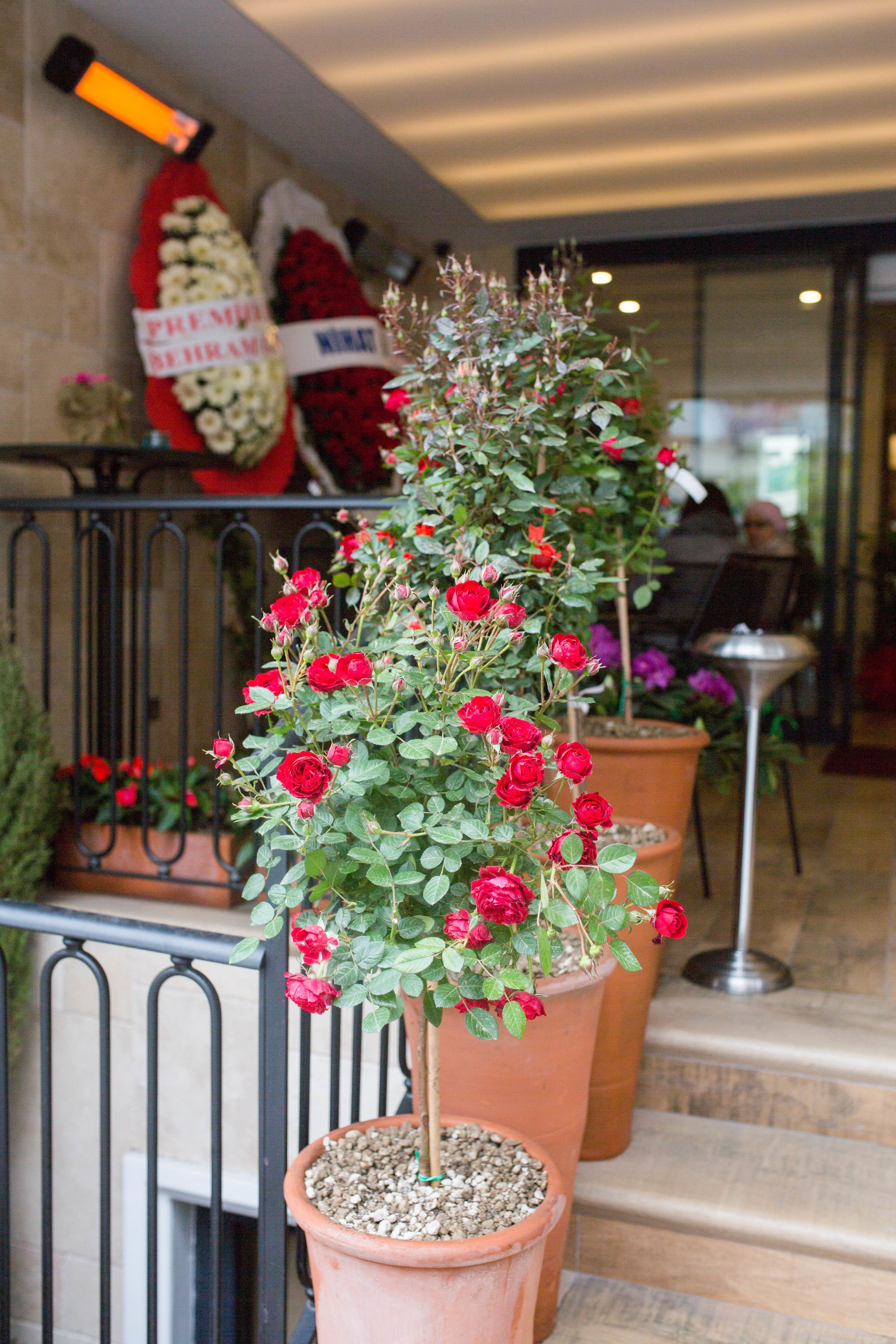 Photo - The White Orient Hotel