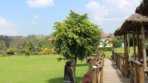 A wooden bridge leading to a thatched-roof structure in a lush green landscape. - Lake Chahafi  Resort (Kisoro)