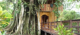 caribbean jungle tree house