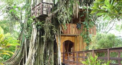 Caribe Casa en el árbol de la selva