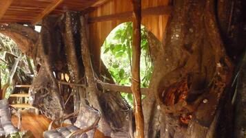 Enceinte de lâhĂ©bergement