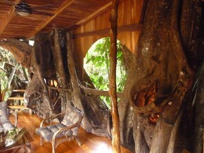 Áreas de la propiedad