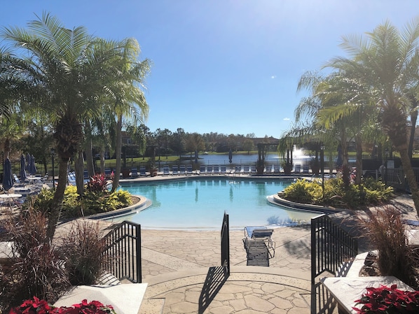 A swimming pool surrounded by palm trees and lounge chairs, with a view of a lake and houses in the background.