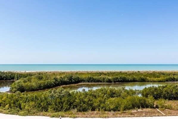 Luokittelematon kuva, 1 kautta 13, painike