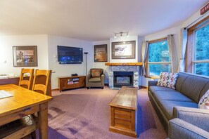 TV, fireplace, DVD player