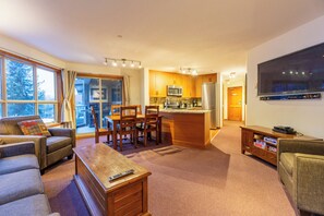 TV, fireplace, DVD player