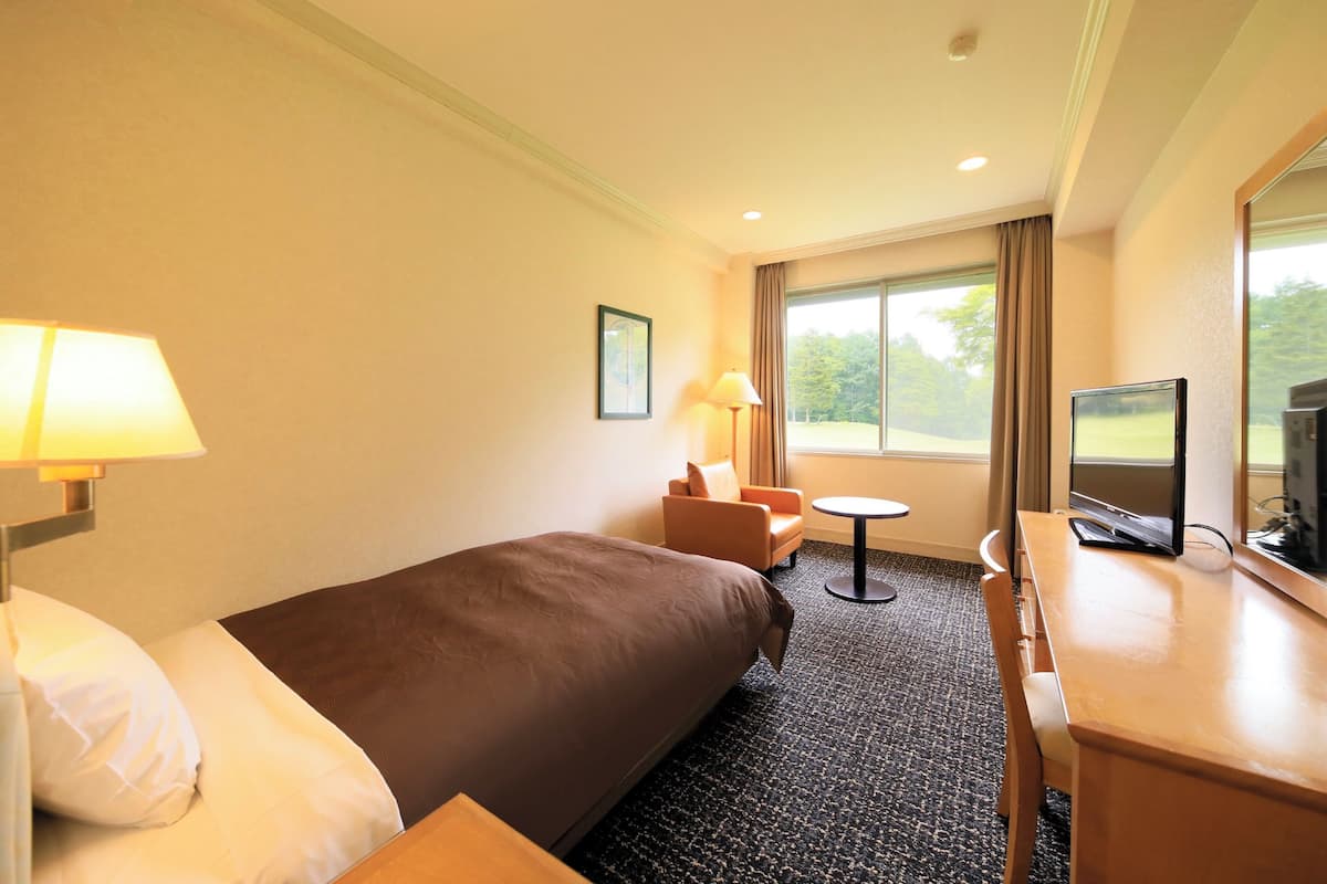 A hotel room with a bed, a desk with a TV, a chair, a lamp, and a window with a view of trees.