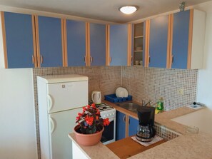 Fridge, oven, stovetop, cookware/dishes/utensils