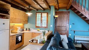 Télévision, cheminée, lecteur de DVD, livres