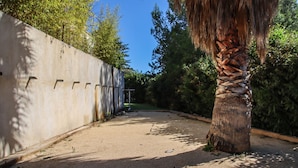 A paved pathway flanked by a concrete wall and a palm tree. - Contemporary villa and relaxation areas (Le Beausset)