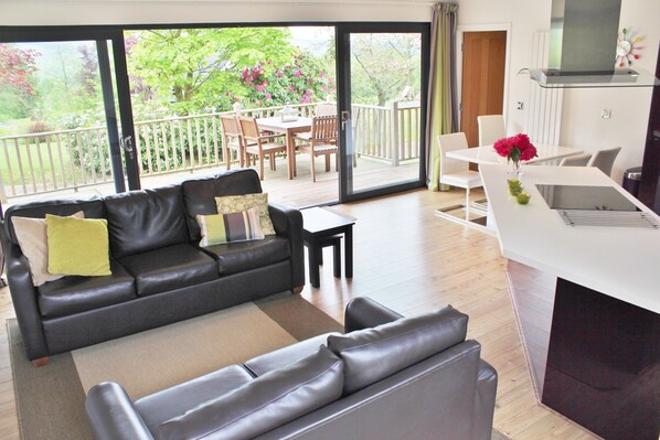 Smart TV, reproductor de DVD y estéreo 