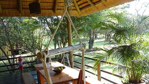 Une terrasse en bois avec un toit de chaume, des bancs en bois, un hamac et une plante en pot.