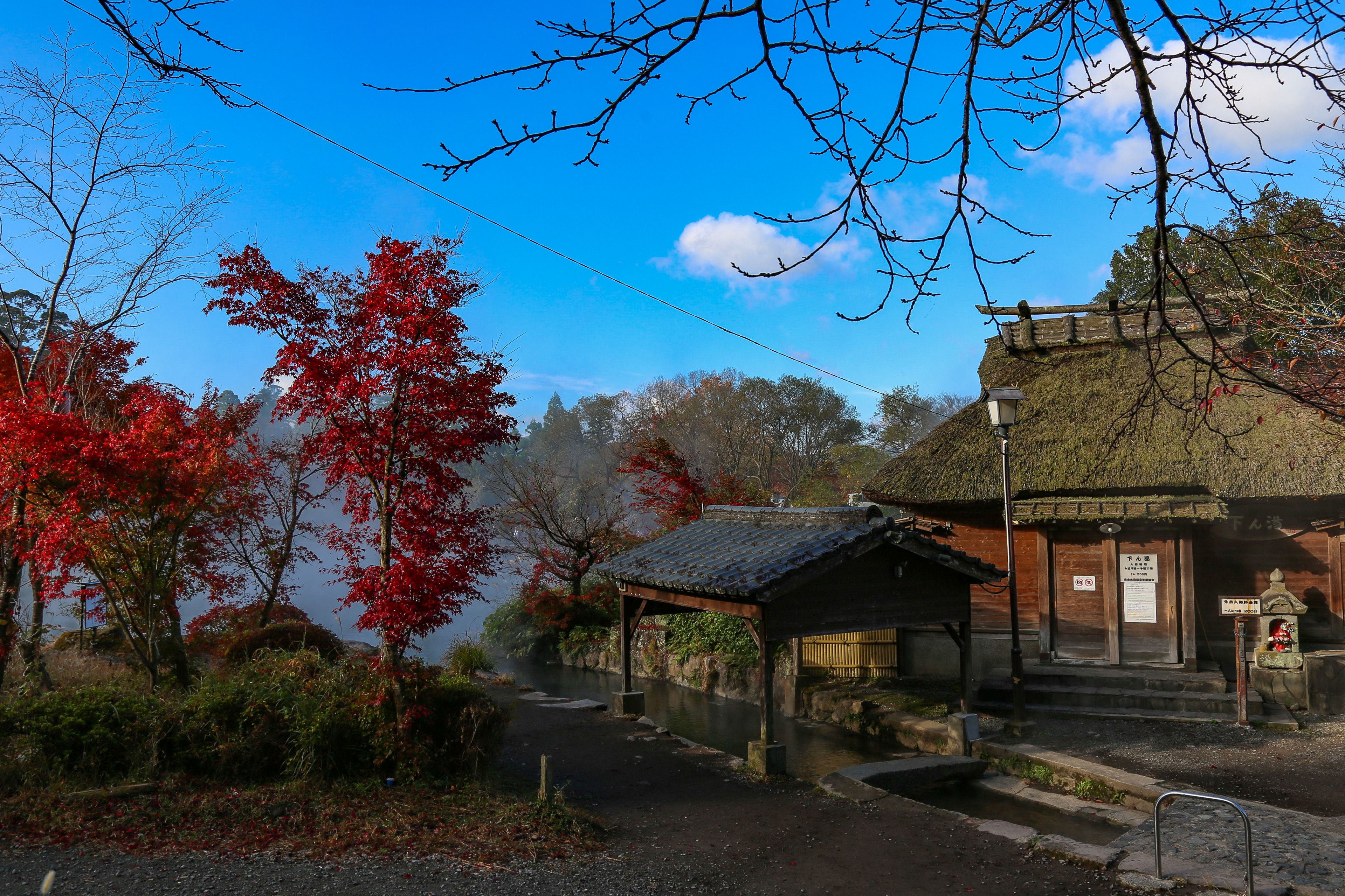 A traditional Japanese building with a thatched roof, a stone pathway leading to it, and a view of a river.