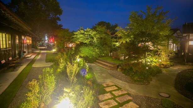 Un sendero bien iluminado en un jardín con escalones de piedra, rodeado de abundante vegetación y árboles.