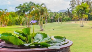 A potted water lily with broad leaves and a single purple flower, set against a backdrop of a well-maintained lawn and tall palm trees. - Phuket Apartment (Pa Klok)