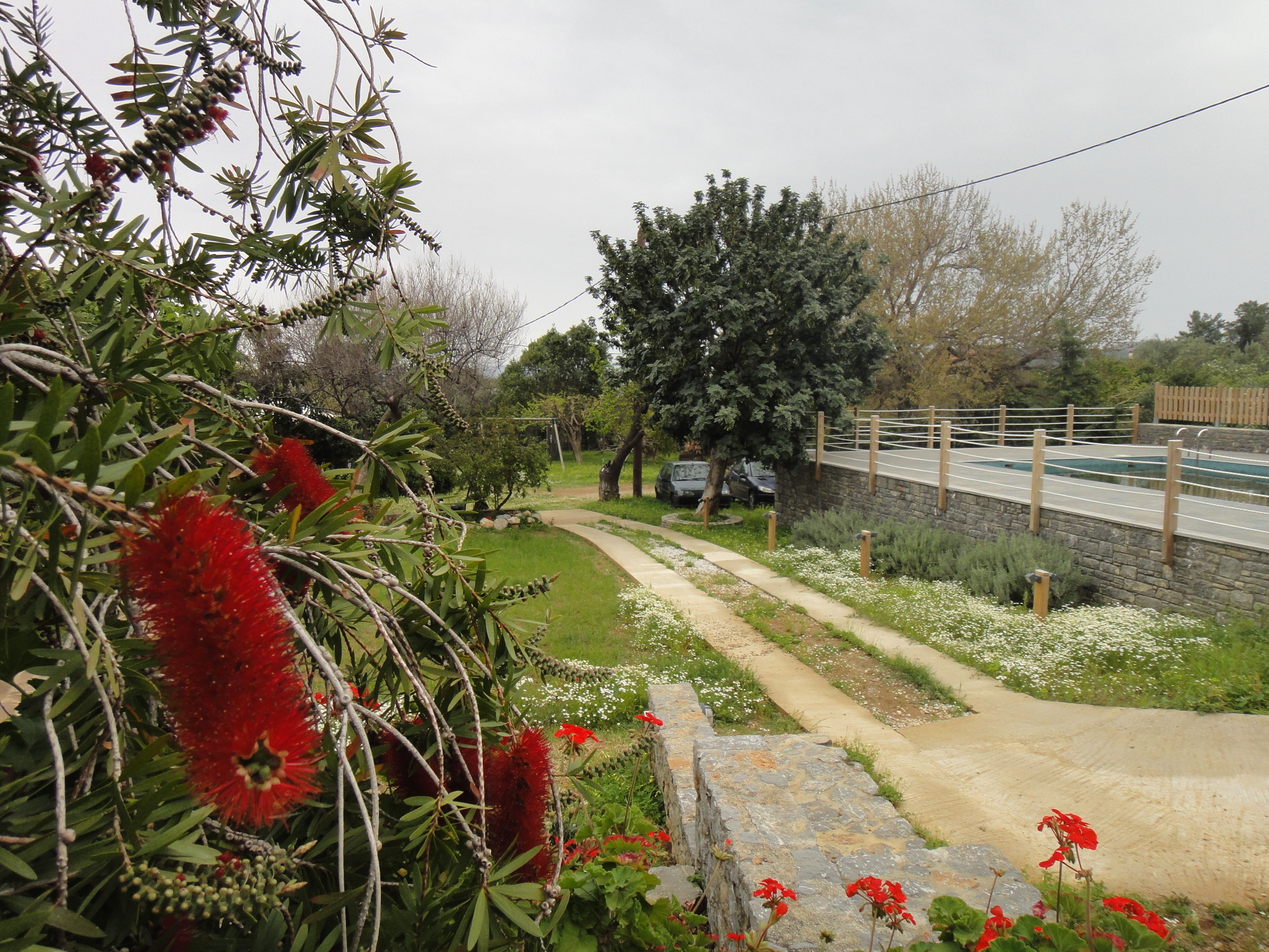 庭園