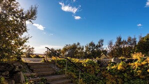 Eine steinerne Treppe führt zu einem Gebäude, umgeben von Grünpflanzen und Steinen.
