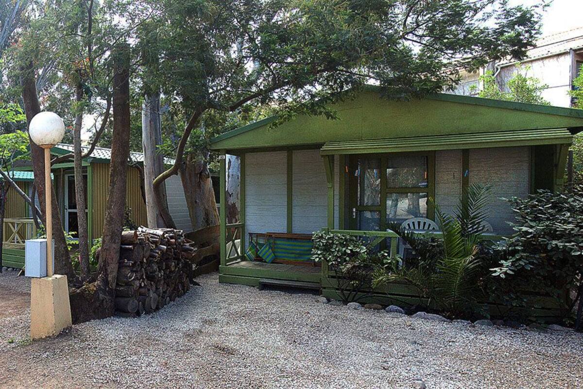 A rustic cabin with a green roof, surrounded by trees and a gravel path.