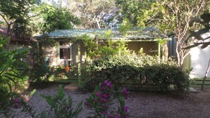 Una casa con techo verde, rodeada de follaje denso y plantas con flores.