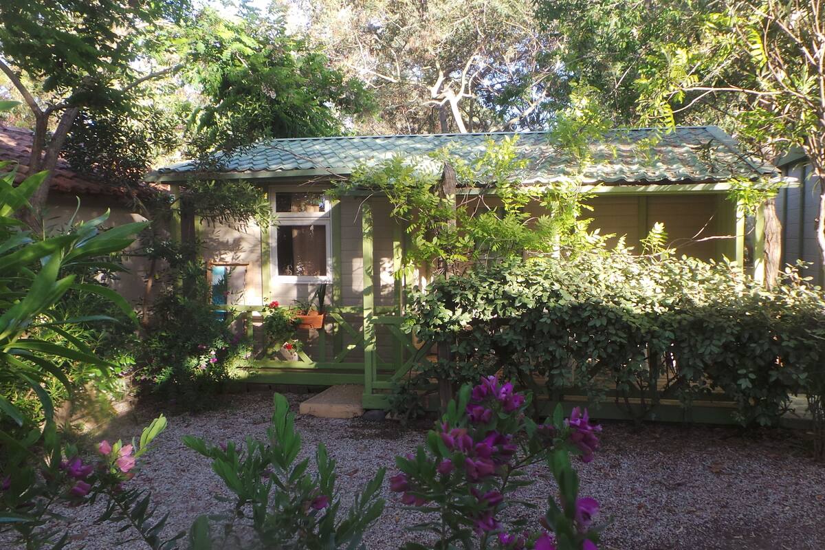 A house with a green roof, surrounded by dense foliage and flowering plants.