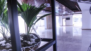 Una planta en maceta con guijarros blancos y estructura metálica, en un espacio interior con piso pulido y techo alto.