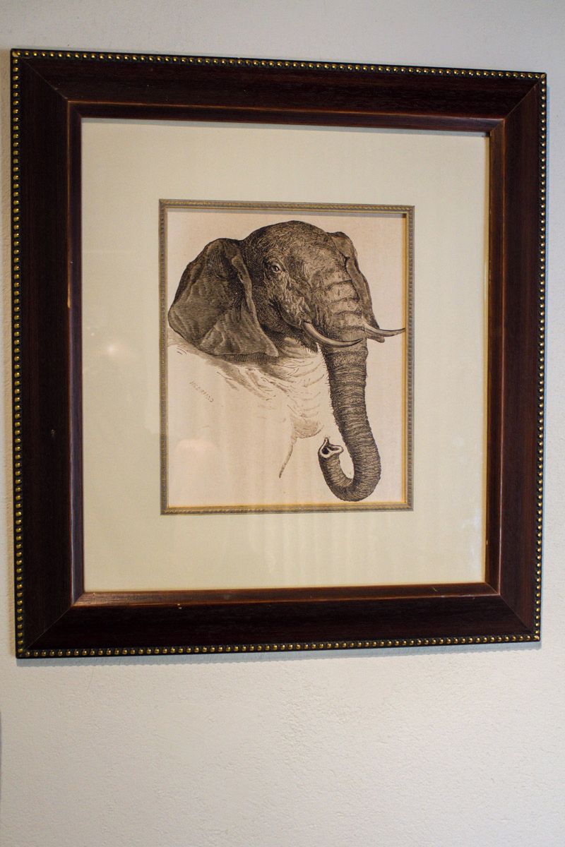 A framed elephant artwork on a wall.