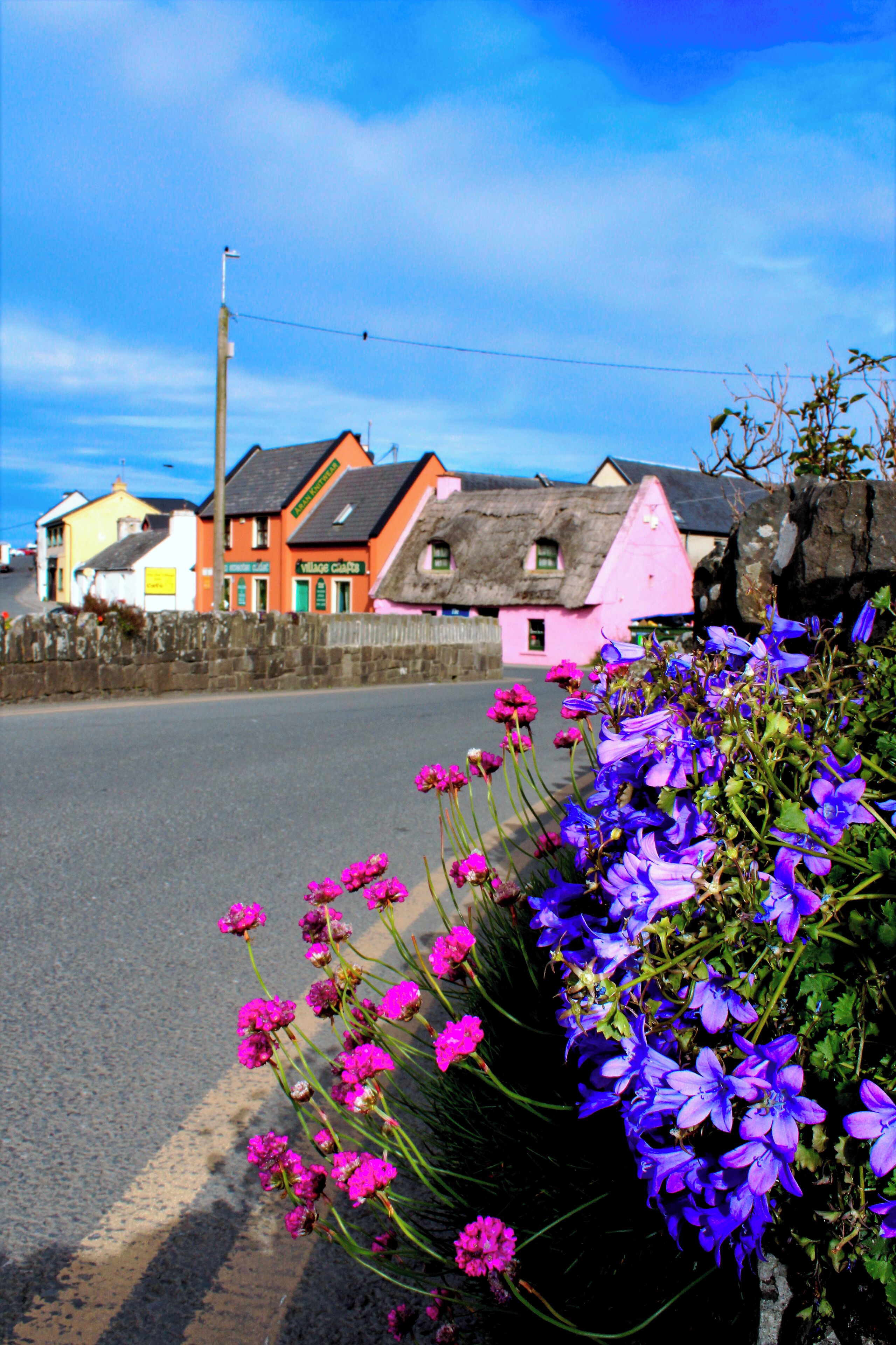 A street with colorful houses, a stone wall, and purple flowers in the foreground.